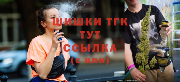 индика Майский