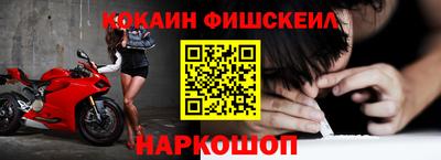 дмт Кингисепп