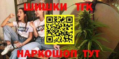 дмт Кингисепп