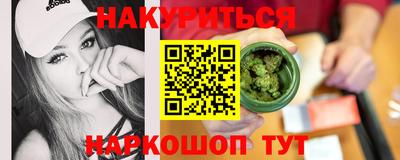 дмт Кингисепп