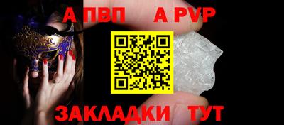 дмт Кингисепп