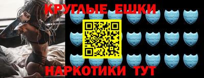 дмт Кингисепп