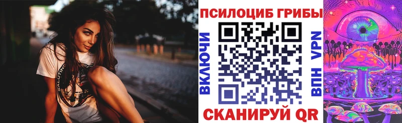 Галлюциногенные грибы Psilocybine cubensis  что такое   Подольск 