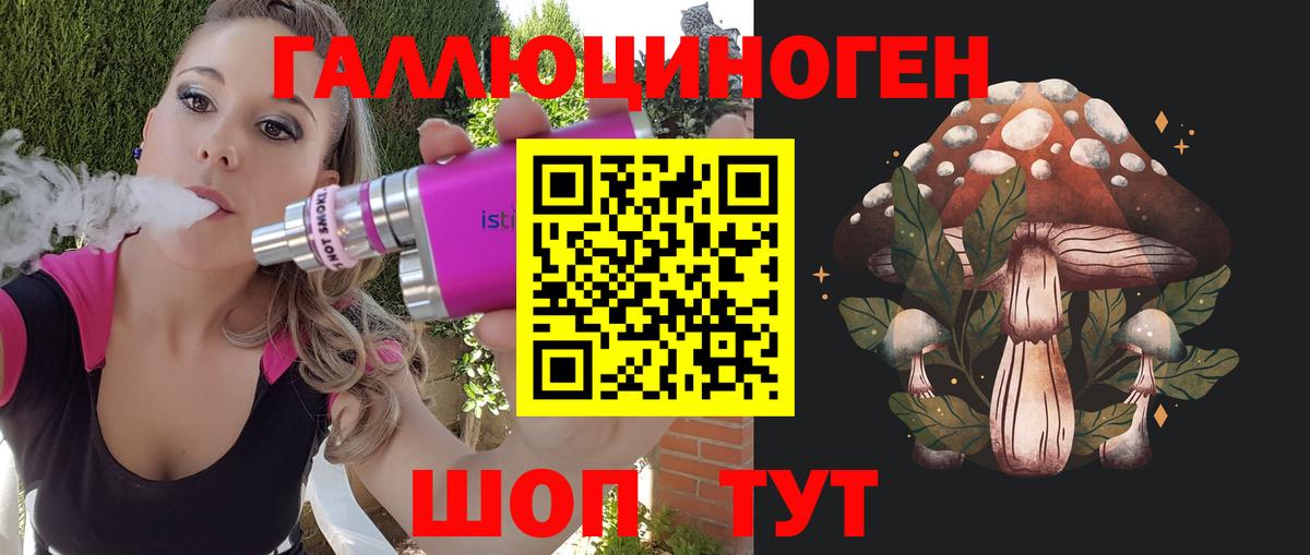 Псилоцибиновые грибы Psilocybine cubensis Подольск