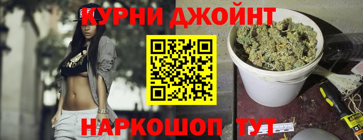 Бошки Шишки планчик Подольск